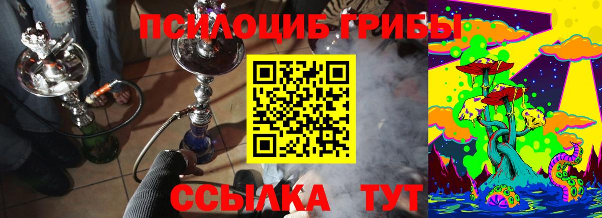 Псилоцибиновые грибы Cubensis Железноводск