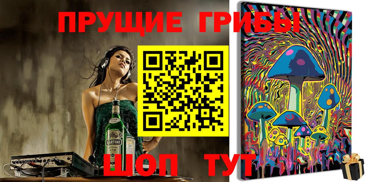 Галлюциногенные грибы прущие грибы  Вход с VPN  Железноводск 